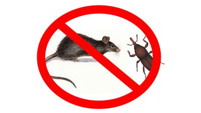 Linee guida per il controllo degli infestanti in magazzino