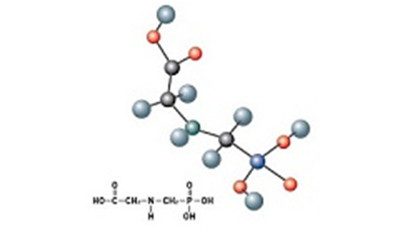 Glifosate – prorogato il termine per l’utilizzo