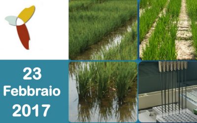 Conferenza “Gestione sostenibile delle risorse in risicoltura” – Giovedì 23 Febbraio 2017