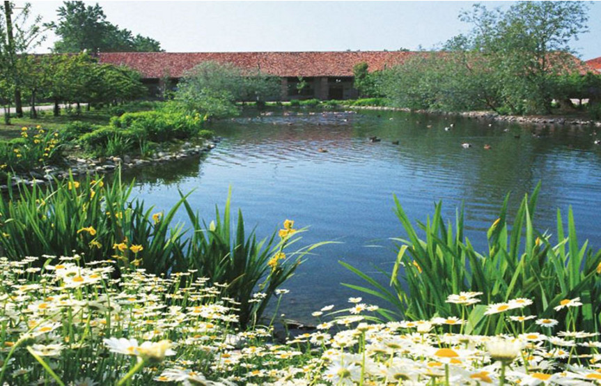 Convegno “Misurare la biodiversità degli agro-ecosistemi per un’agricoltura che pensa al futuro”, Mercoledì 5 aprile – Cascina Darsena, Giussago (PV)