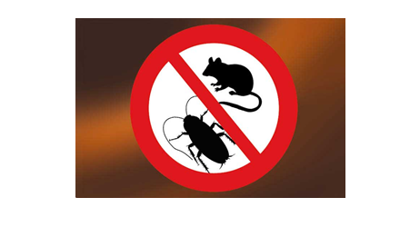 Corso: Tecniche di Autocontrollo Pest Control e Pest Proofing