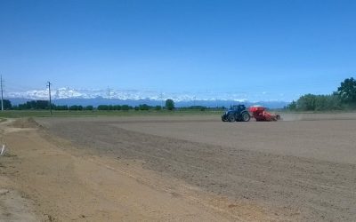 PSR Lombardia – Contributi per competitività e sostenibilità aziende agricole